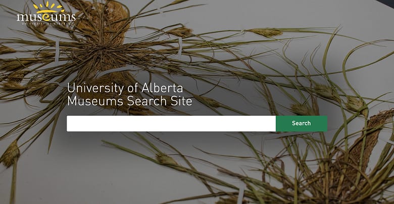 Museum collections integrated search site